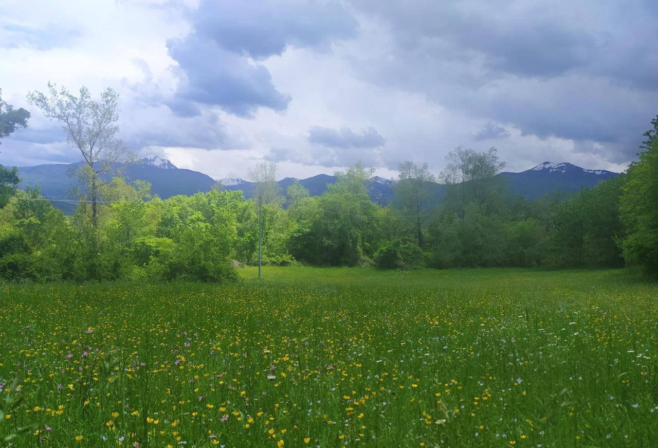 Agriturismo Rio Ricco Busana Εξωτερικό φωτογραφία