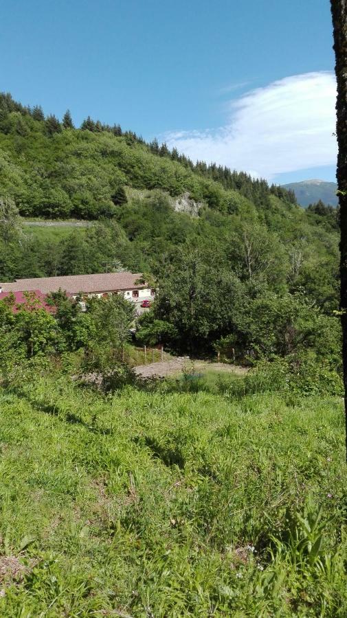 Agriturismo Rio Ricco Busana Εξωτερικό φωτογραφία