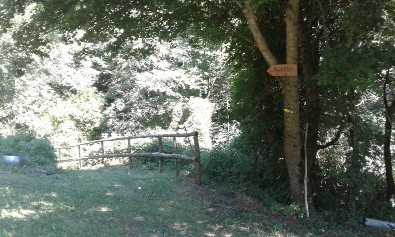 Agriturismo Rio Ricco Busana Εξωτερικό φωτογραφία