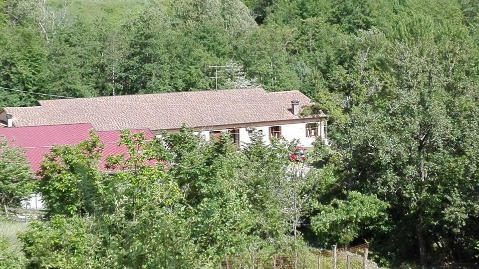 Agriturismo Rio Ricco Busana Εξωτερικό φωτογραφία