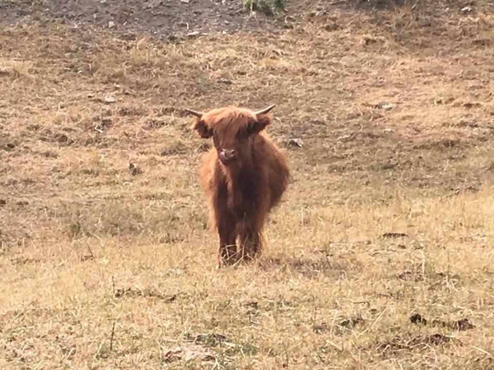 Agriturismo Rio Ricco Busana Εξωτερικό φωτογραφία