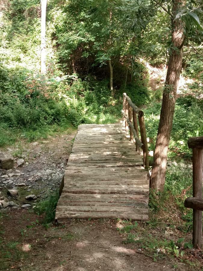 Agriturismo Rio Ricco Busana Εξωτερικό φωτογραφία