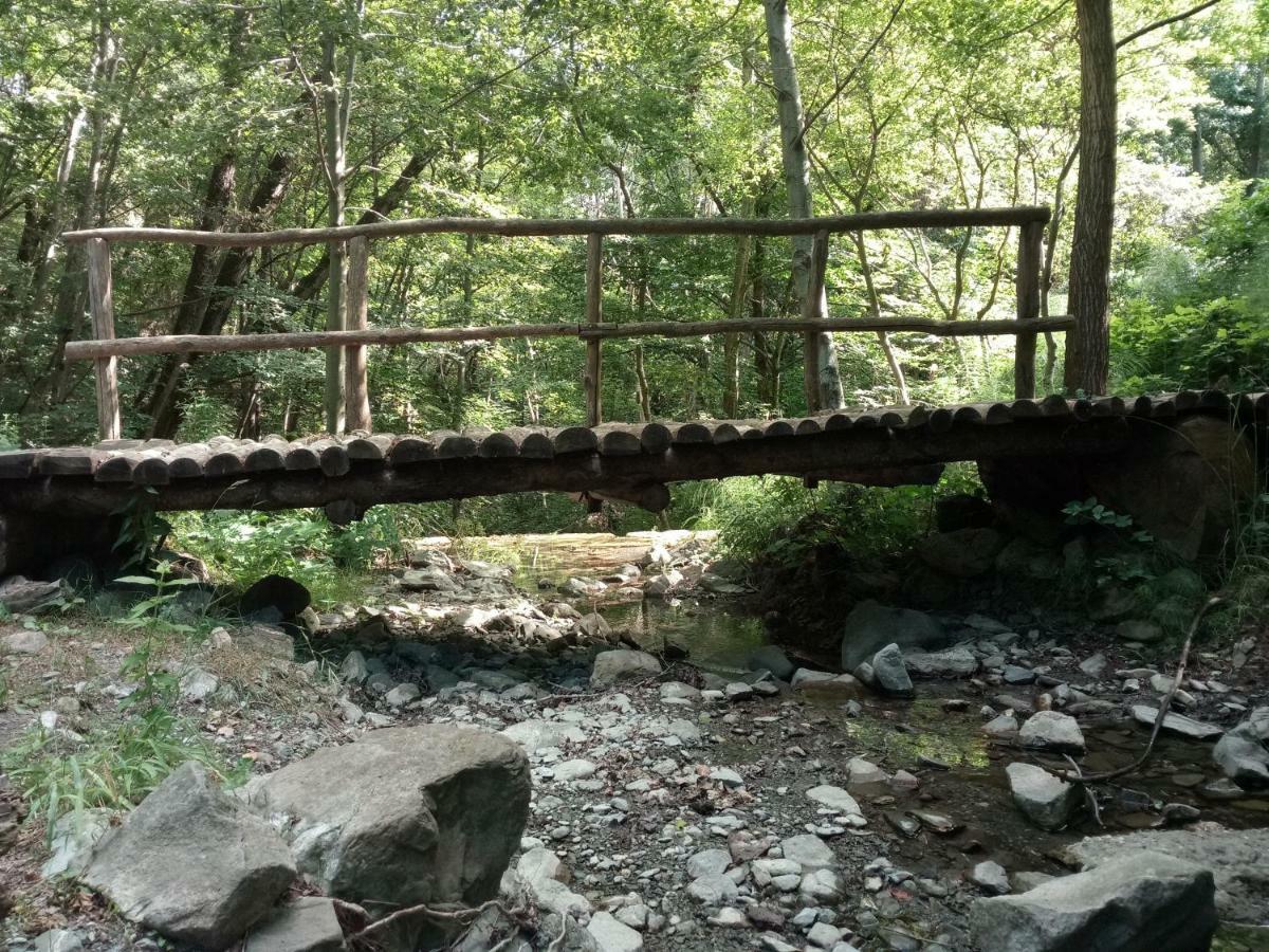 Agriturismo Rio Ricco Busana Εξωτερικό φωτογραφία