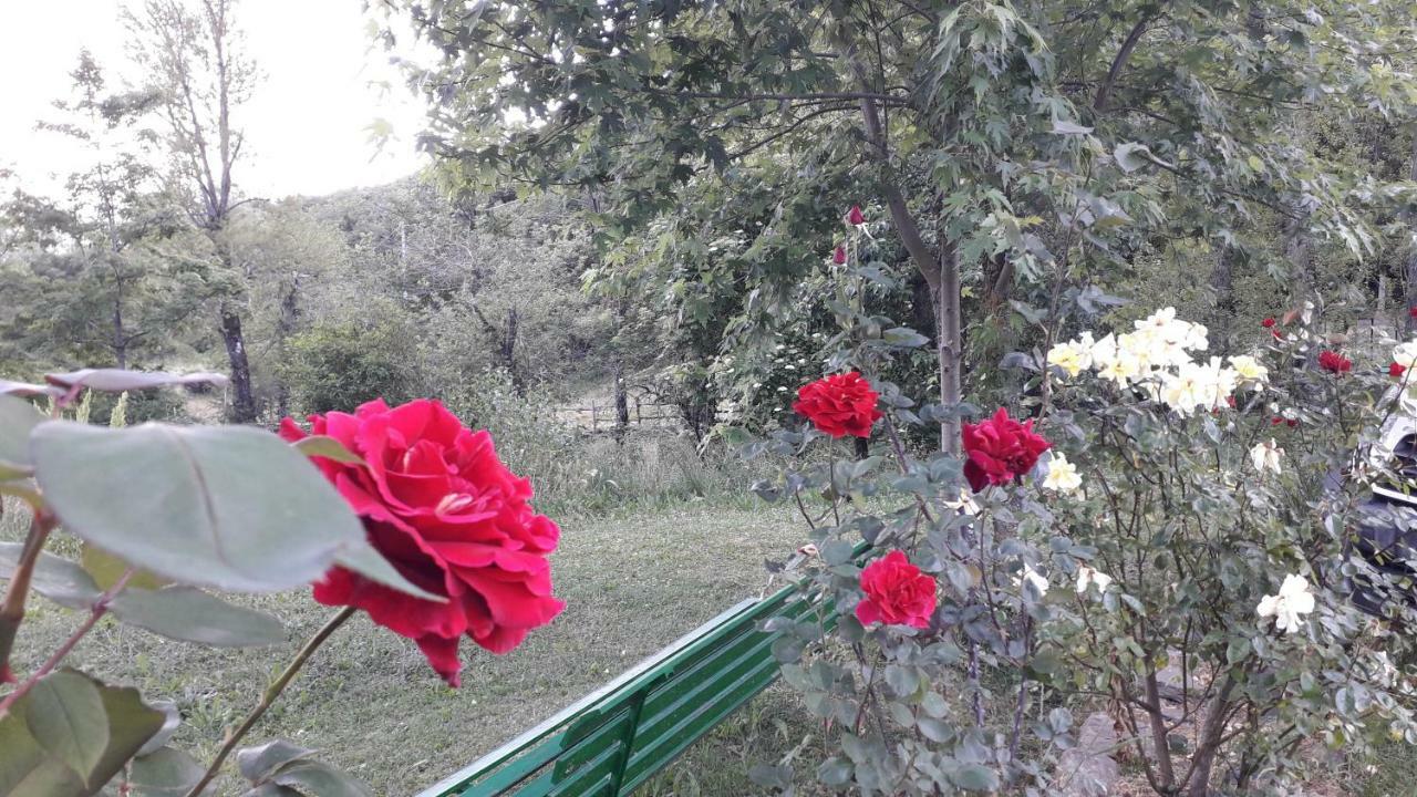 Agriturismo Rio Ricco Busana Εξωτερικό φωτογραφία